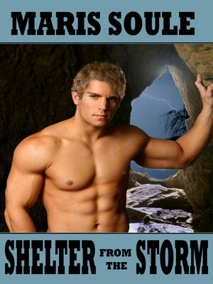 cover image of Shelter from the Storm